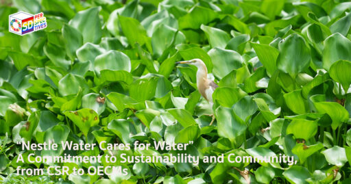 Nestlé Water Cares for Water evolves from CSR to OECMs | SD Perspectives – Sustainability Media in Thailand