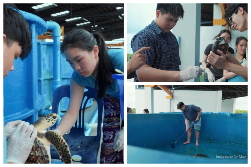 SCG ฮีโร่วัยเด็ก จุดประกายการเปลี่ยนแปลงสู่ Net Zero รักษ์สิ่งแวดล้อม