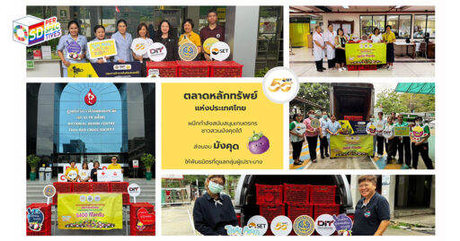 ราคามังคุดไทยตกต่ำในปี 2567 เหลือเพียง 5-10 บาทต่อกิโลกรัม สะท้อนปัญหาด้านเกษตรกรรมและเศรษฐกิจฐานราก
