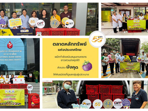 ราคามังคุดไทยตกต่ำในปี 2567 เหลือเพียง 5-10 บาทต่อกิโลกรัม สะท้อนปัญหาด้านเกษตรกรรมและเศรษฐกิจฐานราก