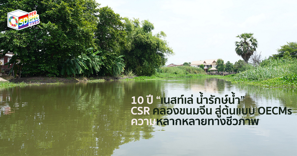 TLE สานต่อโครงการ Nestlé Water Cares for Water สู่การอนุรักษ์ OECMs | SD Perspectives – Sustainability Media in Thailand
