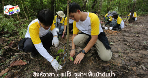 จิตอาสาและนักศึกษาร่วมกิจกรรมปลูกป่าต้นน้ำกับสิงห์อาสา ที่จังหวัดเชียงราย ภายใต้แนวคิดการฟื้นฟูอย่างยั่งยืน