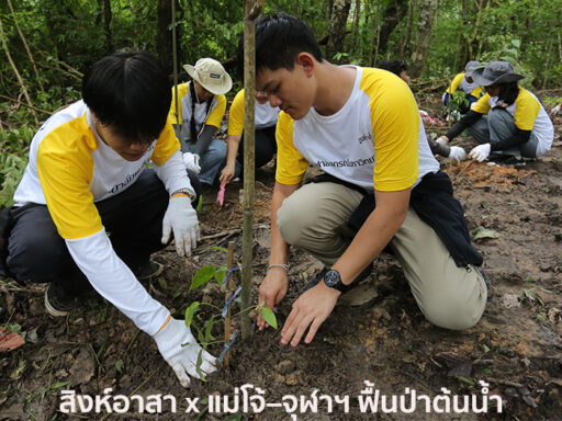 จิตอาสาและนักศึกษาร่วมกิจกรรมปลูกป่าต้นน้ำกับสิงห์อาสา ที่จังหวัดเชียงราย ภายใต้แนวคิดการฟื้นฟูอย่างยั่งยืน