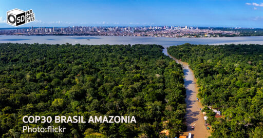 ไทยกับโอกาสบนเวที COP30 ป่าไม้เขตร้อน พันธมิตรใหม่ของเศรษฐกิจคาร์บอน | SD Perspectives