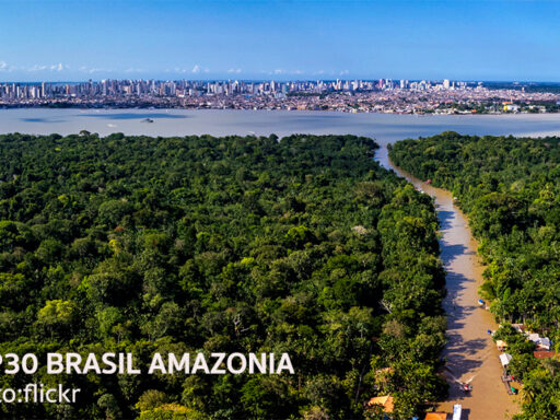 ไทยกับโอกาสบนเวที COP30 ป่าไม้เขตร้อน พันธมิตรใหม่ของเศรษฐกิจคาร์บอน | SD Perspectives