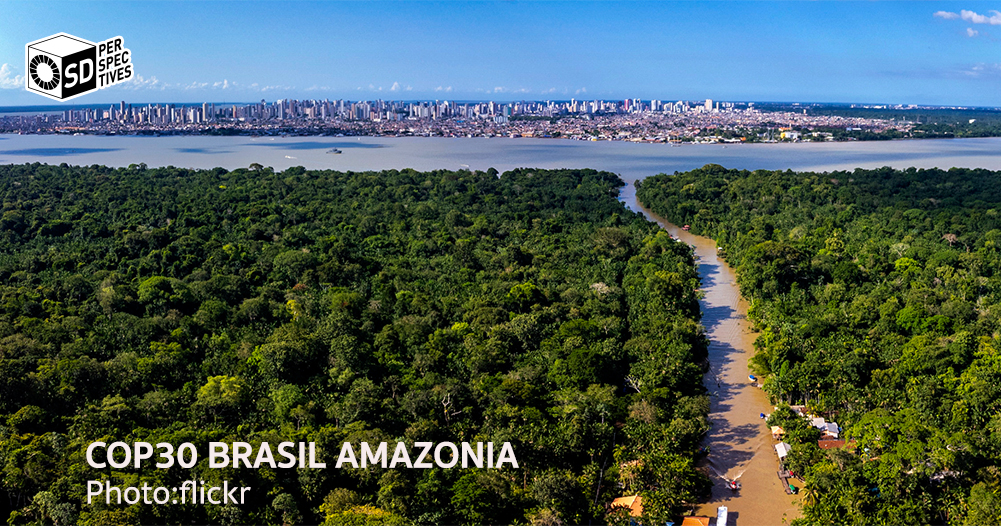 ไทยกับโอกาสบนเวที COP30 ป่าไม้เขตร้อน พันธมิตรใหม่ของเศรษฐกิจคาร์บอน | SD Perspectives