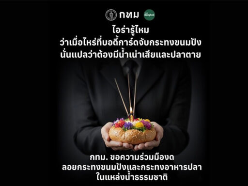 กทม. เผยเบื้องหลังมีม #ไอร่ารู้ไหม แคมเปญสิ่งแวดล้อมวันลอยกระทง ที่ภาครัฐเรียนรู้จะพูดภาษามีม – SD Perspectives