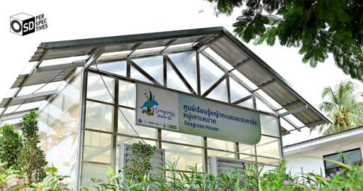 “ศูนย์เรียนรู้หญ้าทะเลเกาะหมาก ภายใต้โครงการ บางจาก ฯ Net Zero 2050 – SD Perspectives” Bangchak launches Thailand’s first private-led Seagrass Learning Center on Koh Mak — SD Perspectives, Sustainability Media in Thailand