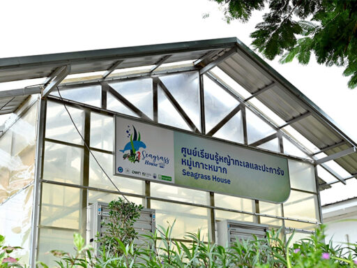 “ศูนย์เรียนรู้หญ้าทะเลเกาะหมาก ภายใต้โครงการ บางจาก ฯ Net Zero 2050 – SD Perspectives” Bangchak launches Thailand’s first private-led Seagrass Learning Center on Koh Mak — SD Perspectives, Sustainability Media in Thailand