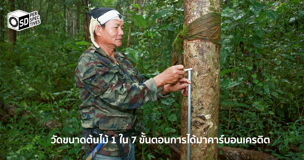 โมเดลคาร์บอนเครดิต Mae Fah Luang Foundation – SD Perspectives : Sustainability Media in Thailand