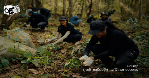 Sansiri SE × BEANS Coffee Roaster Specialty Coffee – SD Perspectives : Sustainability Media in Thailand