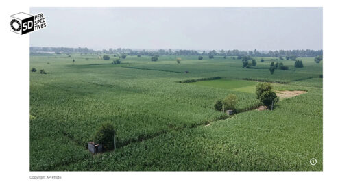 EU Nature-Based Solutions – ทางเลือกเพื่อสิ่งแวดล้อมยั่งยืน | SD Perspectives