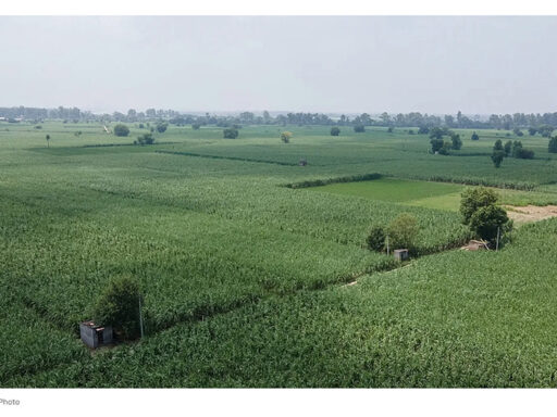 EU Nature-Based Solutions – ทางเลือกเพื่อสิ่งแวดล้อมยั่งยืน | SD Perspectives