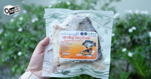 SD Perspectives : Sustainability Media in Thailand นำเสนอแนวปฏิบัติ CSR ของ SCG เพื่อพัฒนาชุมชน สังคม และสิ่งแวดล้อมอย่างยั่งยืน พร้อมรากฐานของการเติบโตที่รับผิดชอบ