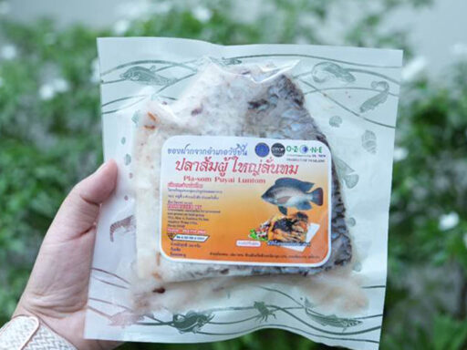 SD Perspectives : Sustainability Media in Thailand นำเสนอแนวปฏิบัติ CSR ของ SCG เพื่อพัฒนาชุมชน สังคม และสิ่งแวดล้อมอย่างยั่งยืน พร้อมรากฐานของการเติบโตที่รับผิดชอบ