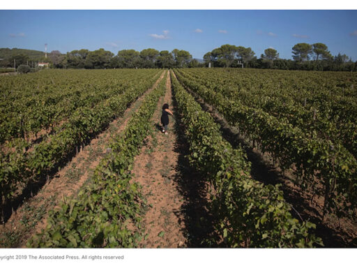 France blames climate change – SD Perspectives : Sustainability Media in Thailand