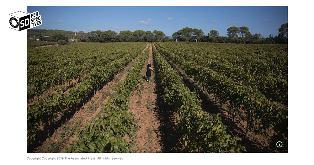 France blames climate change – SD Perspectives : Sustainability Media in Thailand