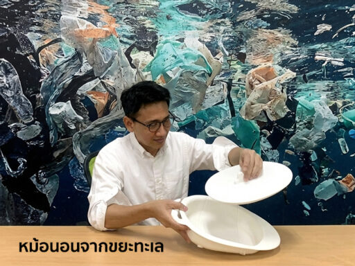 Circular Well-Being Upcycling for Life ศาสตร์แห่งการใช้ซ้ำ | SD Perspectives : Lifestyle Sustainability Media in Thailand