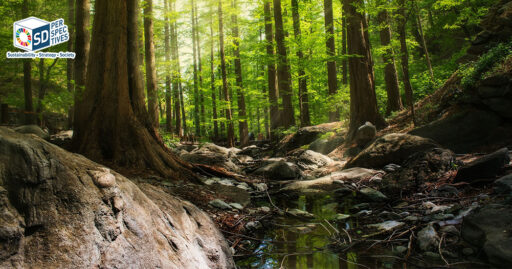 แนวคิด Biodiversity และ Nature-based Solutions เชื่อมธรรมชาติกับกลยุทธ์ธุรกิจและ ESG – SD Perspectives : ESG & Business Strategy Media in Thailand