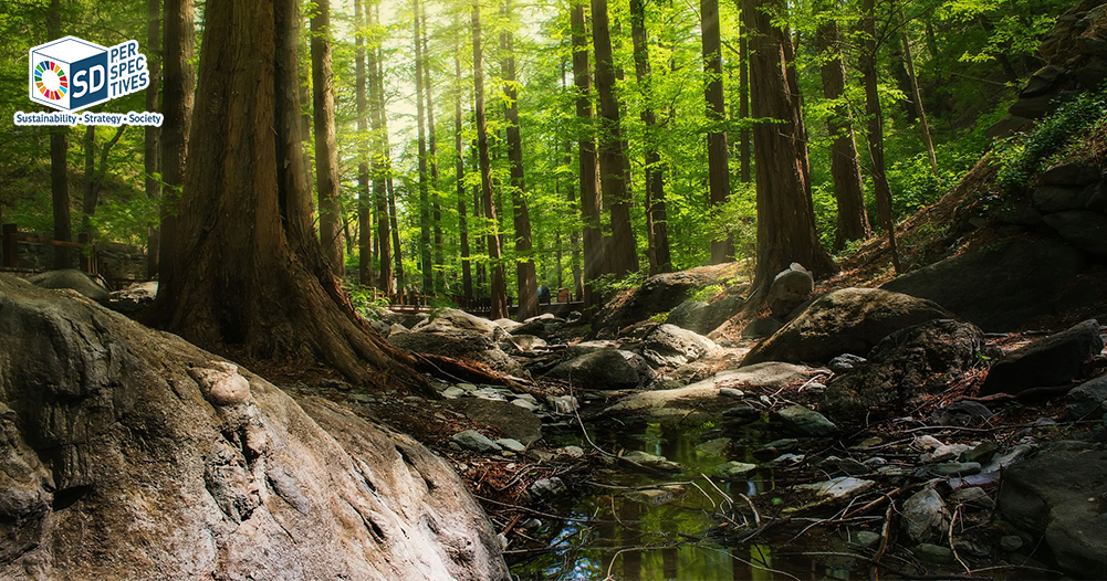 แนวคิด Biodiversity และ Nature-based Solutions เชื่อมธรรมชาติกับกลยุทธ์ธุรกิจและ ESG – SD Perspectives : ESG & Business Strategy Media in Thailand