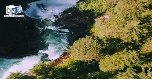 Danone ปรับกลยุทธ์ธุรกิจสู่ Health Company ใช้ ESG ขับเคลื่อนการเติบโตระยะยาวด้านสุขภาพ สิ่งแวดล้อม และสังคม