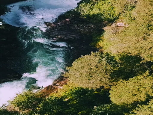 Danone ปรับกลยุทธ์ธุรกิจสู่ Health Company ใช้ ESG ขับเคลื่อนการเติบโตระยะยาวด้านสุขภาพ สิ่งแวดล้อม และสังคม