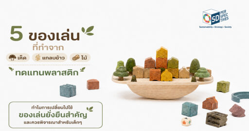 5 ของเล่นจากเห็ด แกลบข้าว และไม้ ทางเลือกของเล่นยั่งยืนทดแทนพลาสติกสำหรับเด็ก ลดผลกระทบต่อสิ่งแวดล้อม