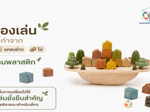 5 ของเล่นจากเห็ด แกลบข้าว และไม้ ทางเลือกของเล่นยั่งยืนทดแทนพลาสติกสำหรับเด็ก ลดผลกระทบต่อสิ่งแวดล้อม