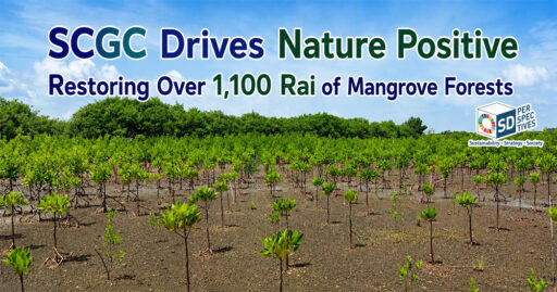 SCGC mangrove restoration project supporting Nature Positive strategy, biodiversity conservation, and carbon credit development in Thailand