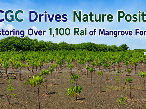 SCGC mangrove restoration project supporting Nature Positive strategy, biodiversity conservation, and carbon credit development in Thailand