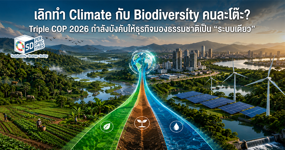 Triple COP 2026 เชื่อม Climate Change Biodiversity Land และ Water สู่ Business Strategy SD Perspectives : ESG & Business Strategy Media in Thailand