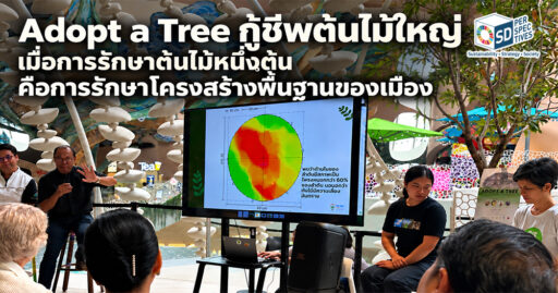 เวทีเสวนา Adopt a Tree กู้ชีพต้นไม้ใหญ่