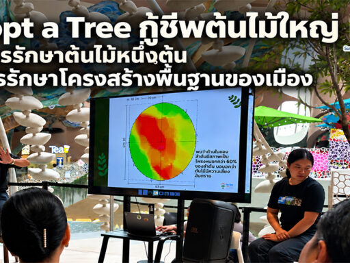 เวทีเสวนา Adopt a Tree กู้ชีพต้นไม้ใหญ่