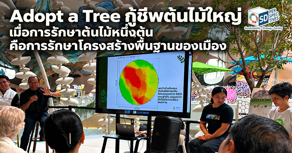 เวทีเสวนา Adopt a Tree กู้ชีพต้นไม้ใหญ่