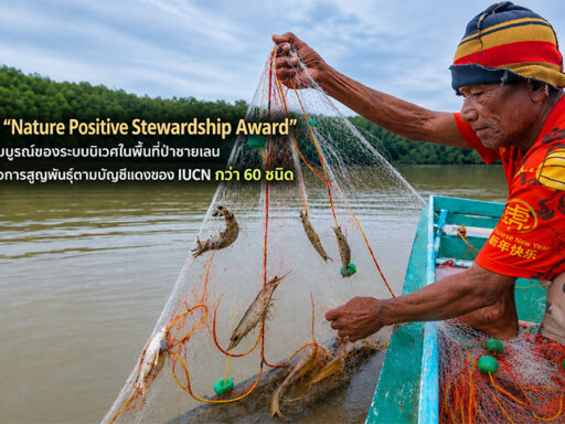 ชาวประมงพื้นบ้านจับสัตว์น้ำในพื้นที่ป่าชายเลน สะท้อนผลลัพธ์ Nature Positive ของ SCGC และความหลากหลายทางชีวภาพในระบบนิเวศ SD Perspectives : ESG & Business Strategy Media in Thailand