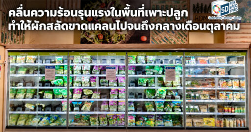 ป้ายแจ้งผักสลัดขาดแคลนจากคลื่นความร้อนในพื้นที่เพาะปลูกของฝรั่งเศส SD Perspectives : Lifestyle Sustainability Media in Thailand
