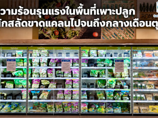 ป้ายแจ้งผักสลัดขาดแคลนจากคลื่นความร้อนในพื้นที่เพาะปลูกของฝรั่งเศส SD Perspectives : Lifestyle Sustainability Media in Thailand