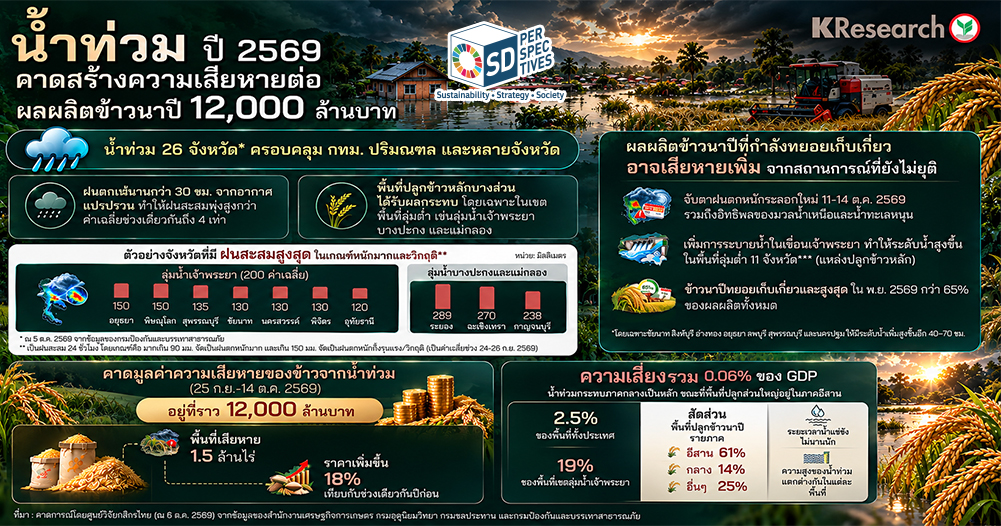 อินโฟกราฟิกศูนย์วิจัยกสิกรไทย ประเมินน้ำท่วมปี 2569 ทำผลผลิตข้าวนาปีเสียหายราว 12,000 ล้านบาท กระทบพื้นที่ประมาณ 1.5 ล้านไร่ SD Perspectives : ESG & Business Strategy Media in Thailand