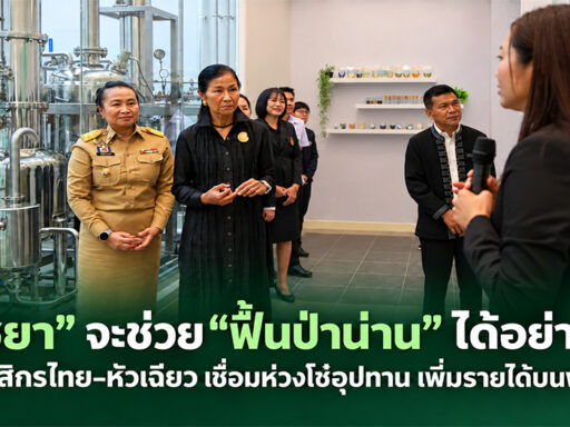 การพัฒนาห่วงโซ่พืชยาน่านเชื่อมองค์ความรู้และมาตรฐานทางการแพทย์กับการสร้างรายได้ชุมชน ควบคู่เป้าหมายฟื้นคืนป่าต้นน้ำ SD Perspectives : ESG & Business Strategy Media in Thailand