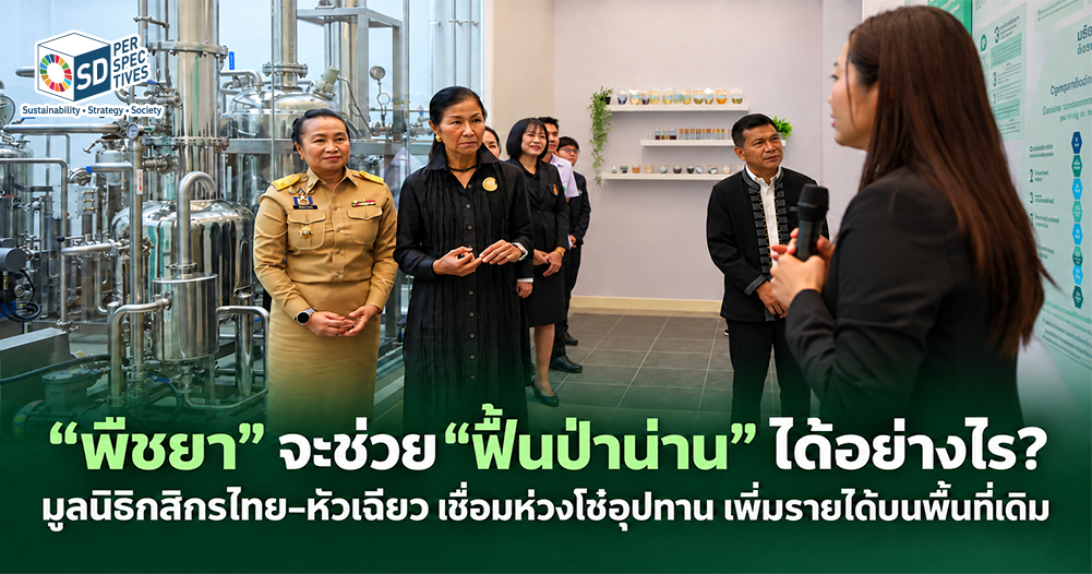 การพัฒนาห่วงโซ่พืชยาน่านเชื่อมองค์ความรู้และมาตรฐานทางการแพทย์กับการสร้างรายได้ชุมชน ควบคู่เป้าหมายฟื้นคืนป่าต้นน้ำ SD Perspectives : ESG & Business Strategy Media in Thailand