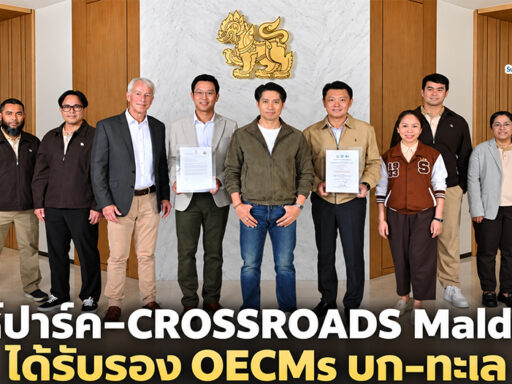ผู้บริหารและคณะร่วมถ่ายภาพพร้อมใบรับรอง OECMs ของสิงห์ปาร์ค เชียงราย และ CROSSROADS Maldives ในกลุ่มบริษัทบุญรอดฯ| SD Perspectives : ESG & Business Strategy Media in Thailand